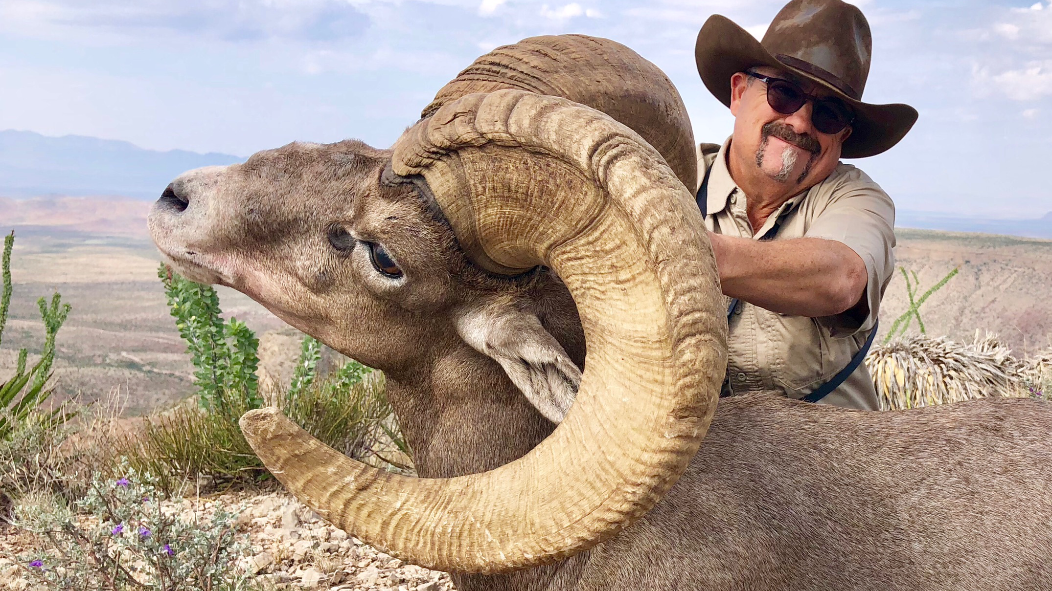 HUNTING DESERT SHEEP IN WEST TEXAS ROUND 2