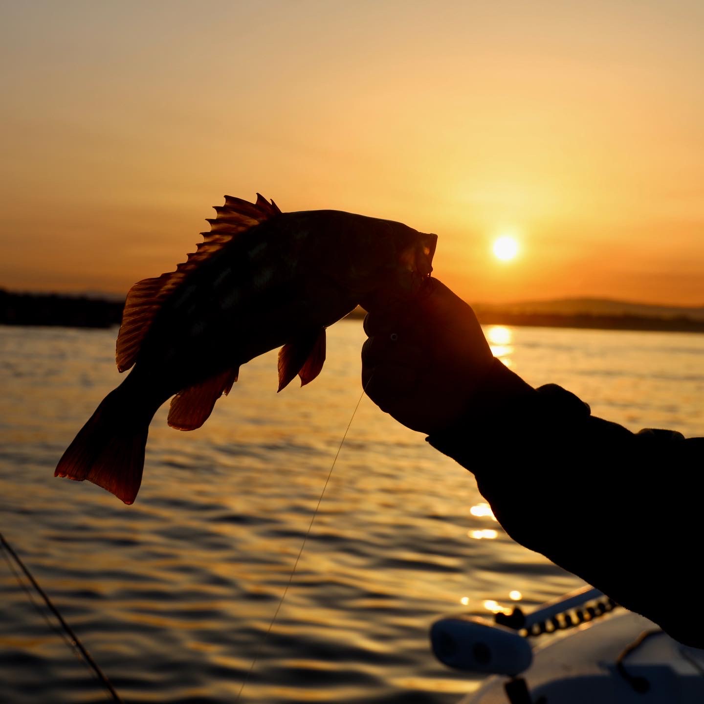 SALTWATER BASS FISHING WITH HUNTER  