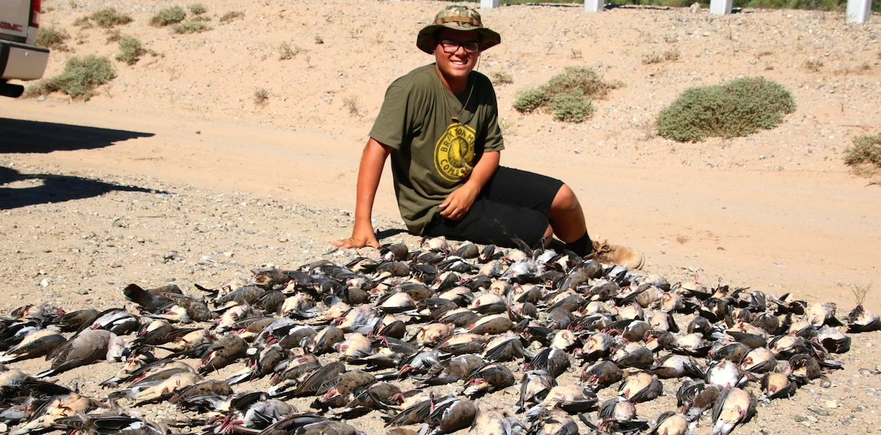 DOVE HUNT 2014