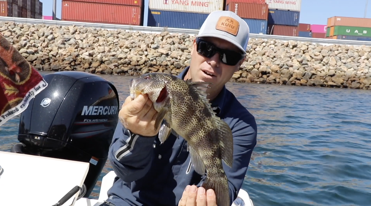 SPOTTED BAY BASS "QUICK CLIP"