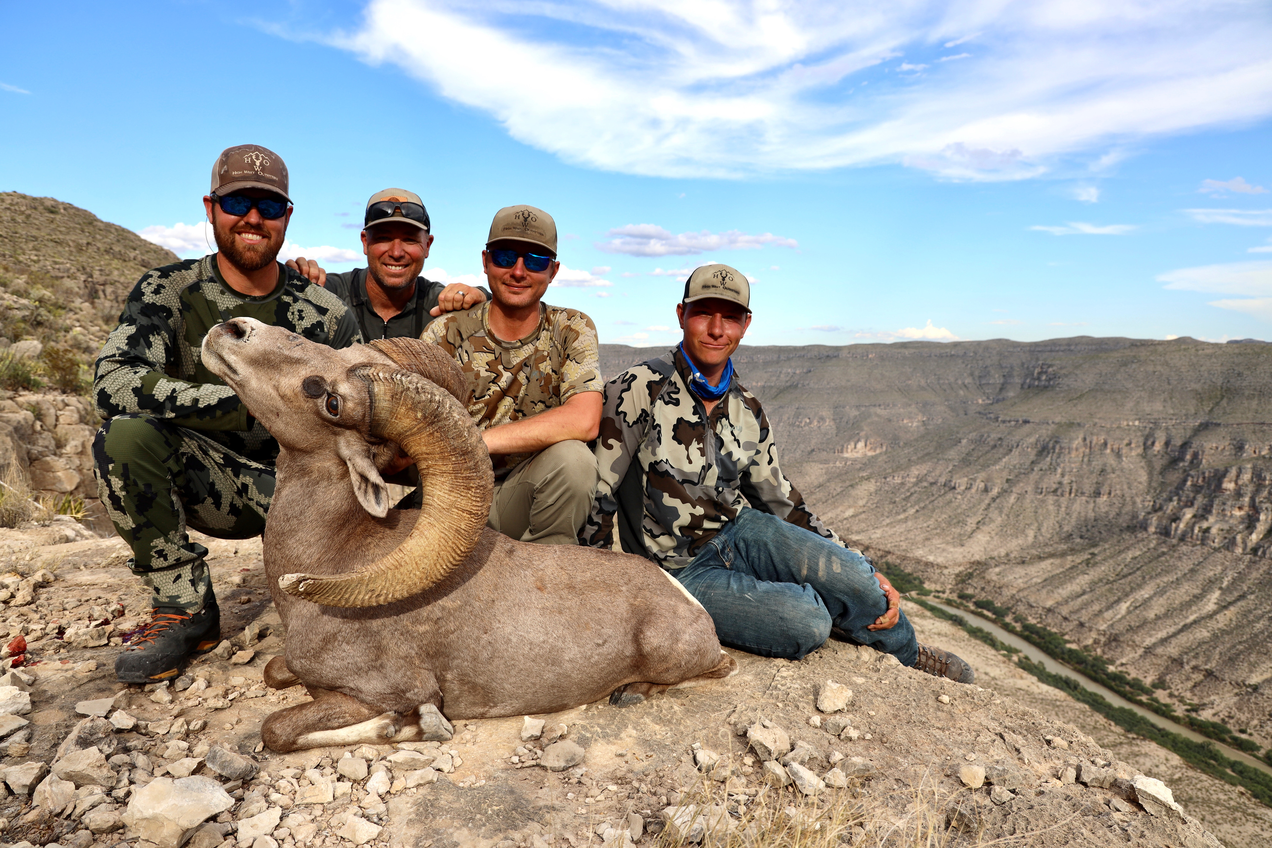  DESERT SHEEP ON THE RIO GRAND ROUND TWO