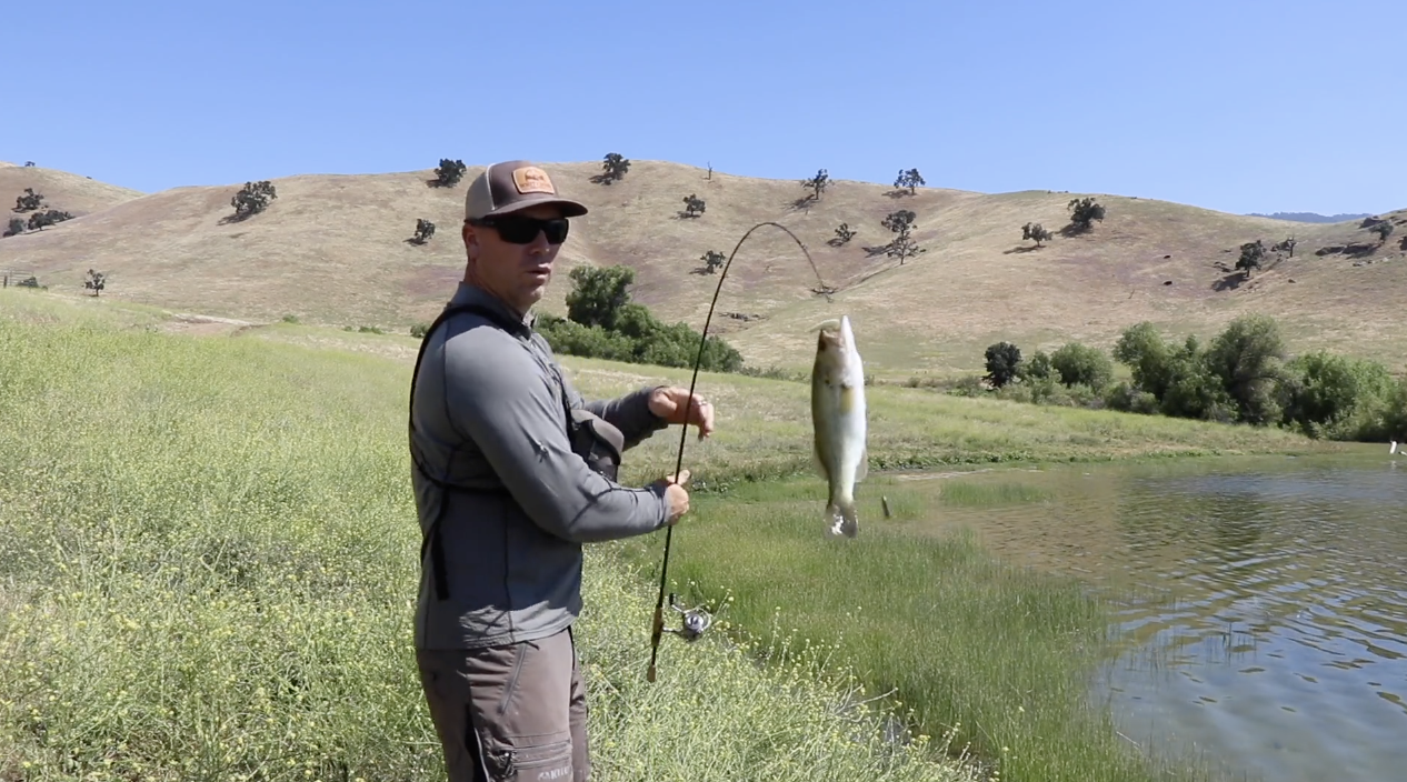 FISH LIKE A BOSS " EVERY CAST "