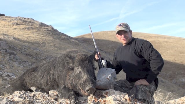 PORK POUND 2012