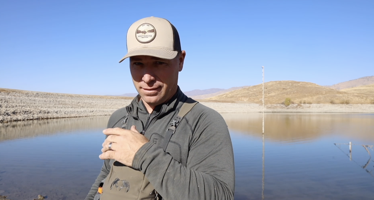 FISH LIKE A BOSS "COMMUNICATION"