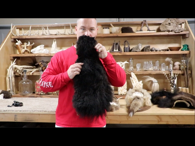 THE NEW RANDOM BACKDROP