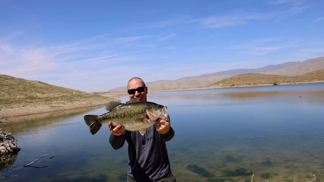 TEJON 10.7 LMB "QUICK CLIP"