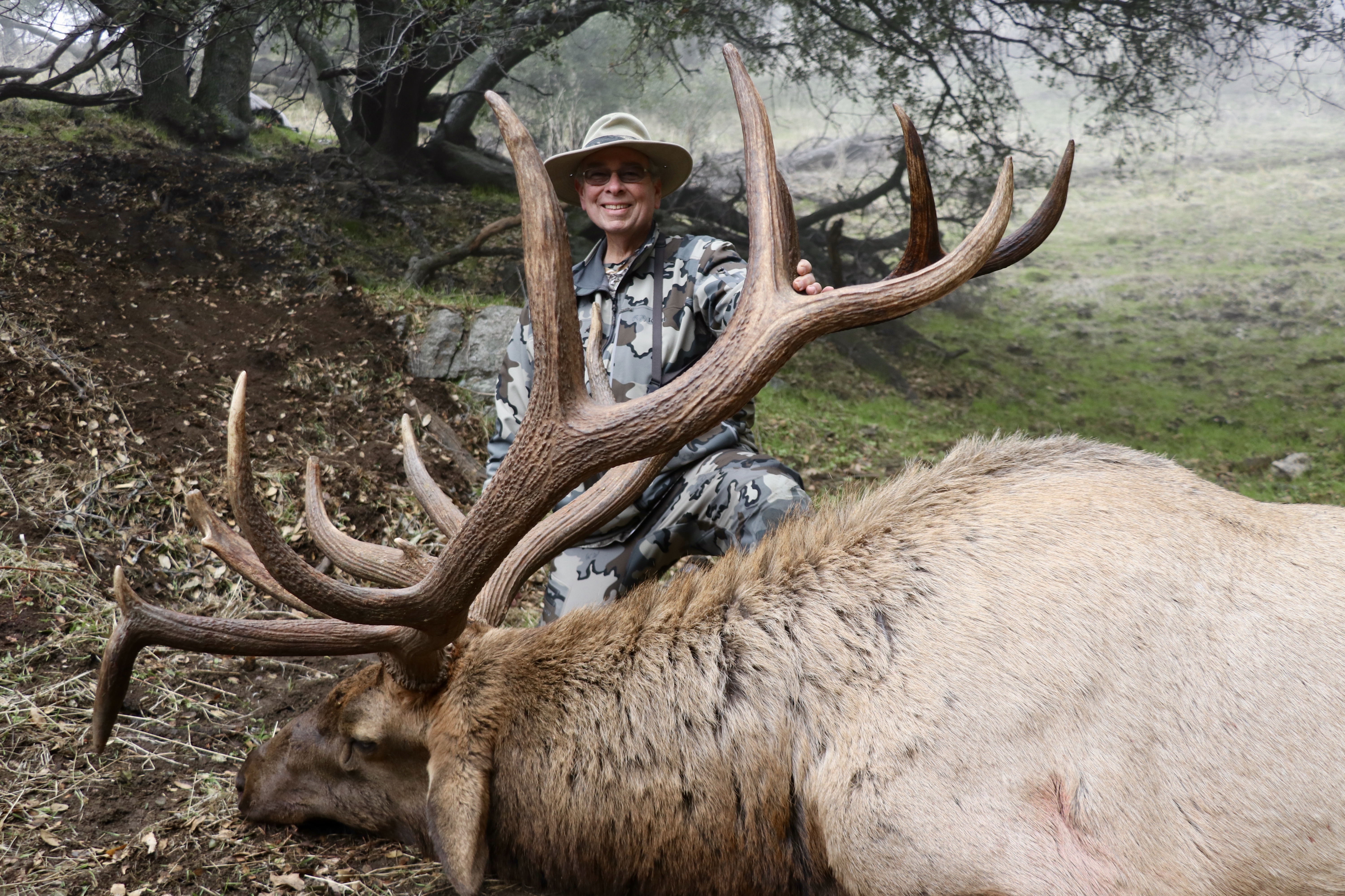 "THE BEAST" GIANT TEJON RANCH BULL