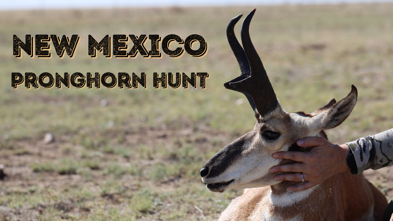 2022 NEW MEXICO PRONGHORN HUNT