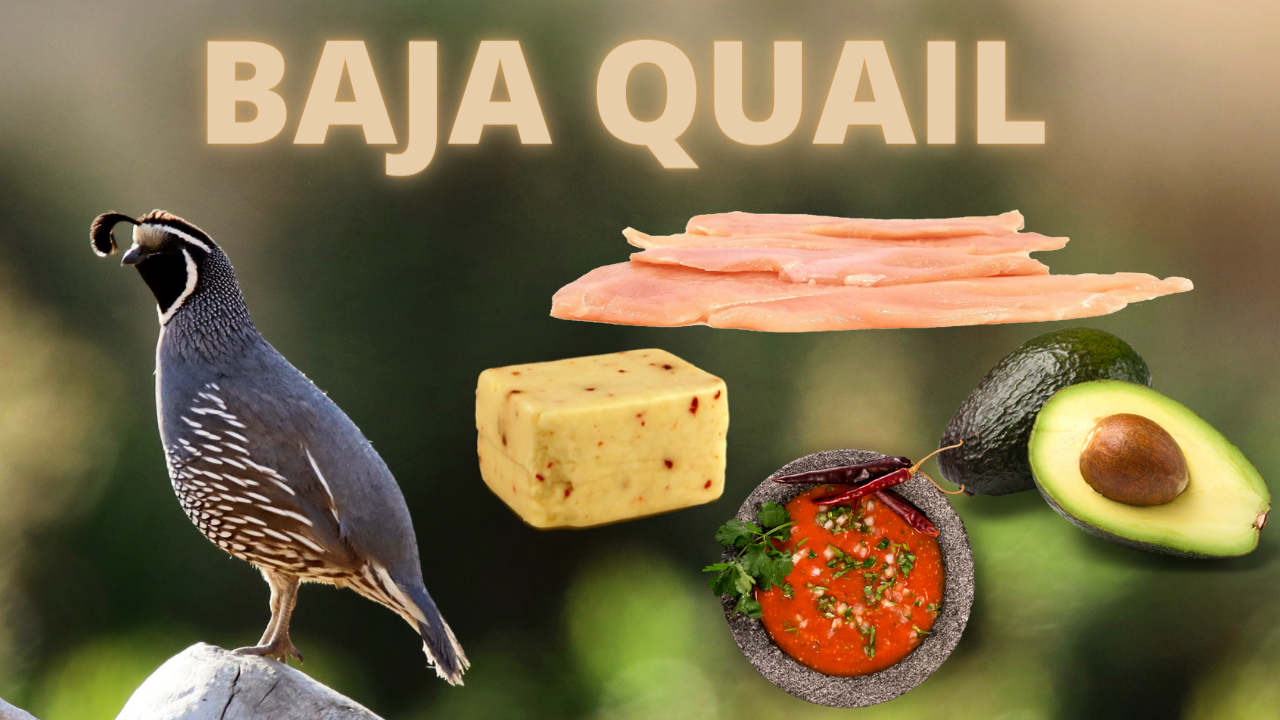 BAJA STYLE CALIFORNIA VALLEY QUAIL WITH FRESH ROASTED SALSA