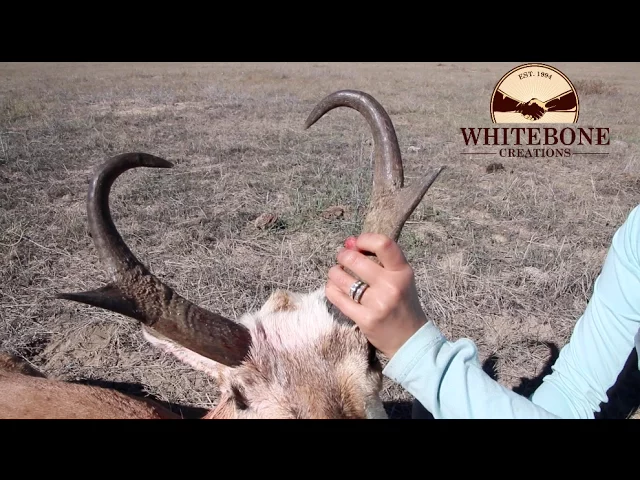 HUNTING ELK, DEER AND ANTELOPE  