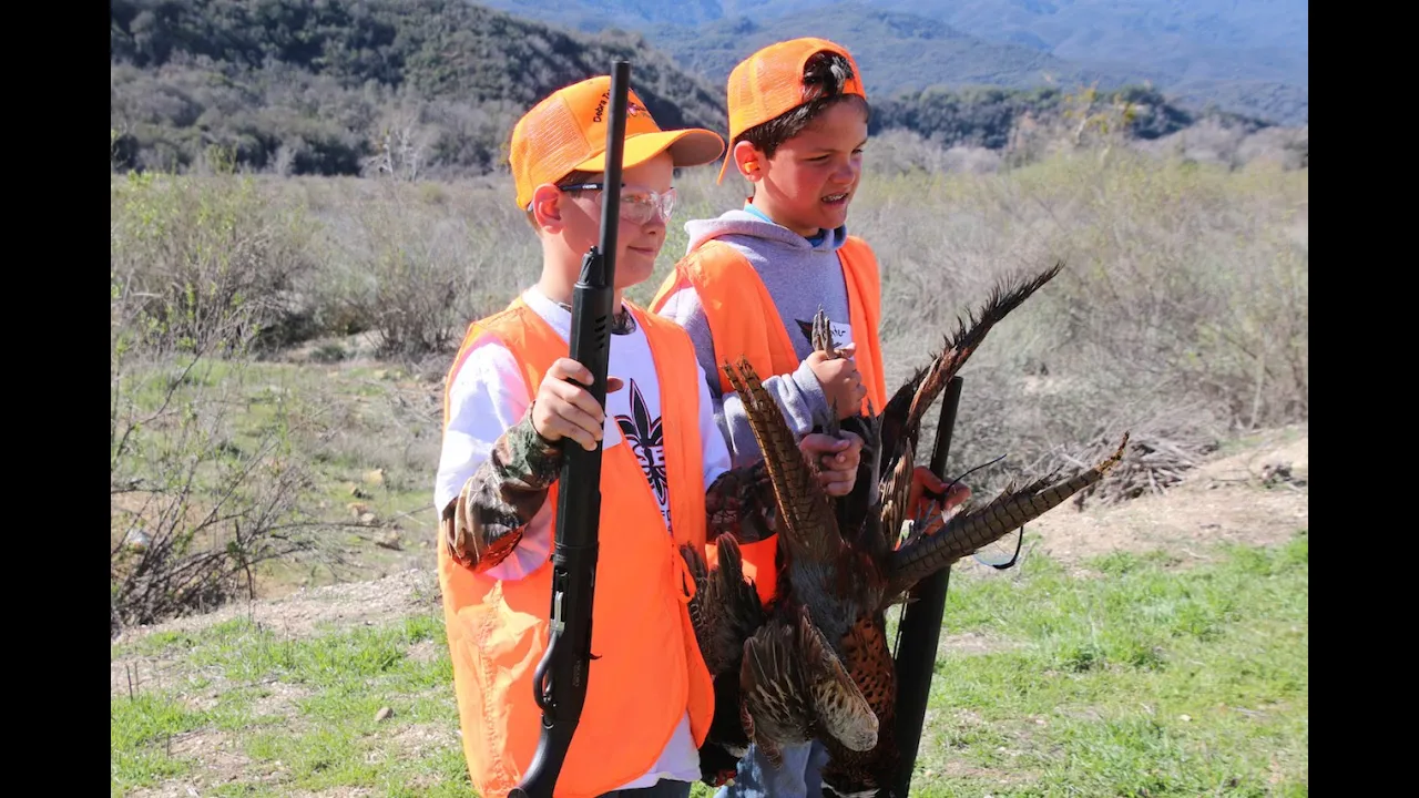 YOUTH PHEASANT HUNTS