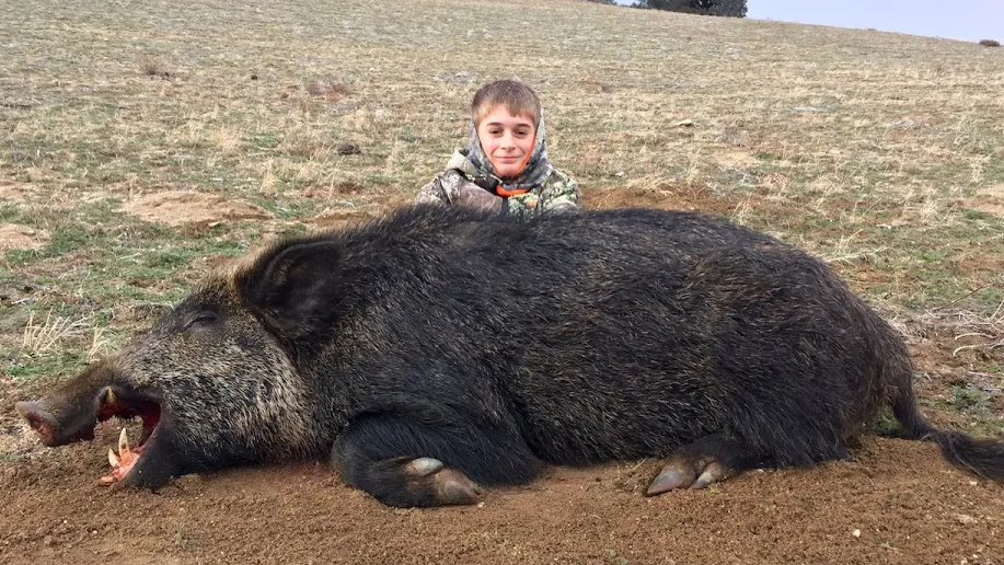 NEVER GIVE UP PIG HUNT  