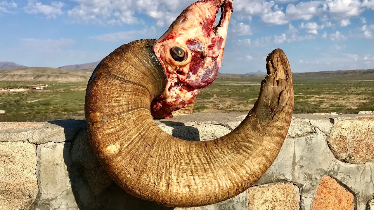 HWO TRAILER “HIGH WEST OUTFITTERS'