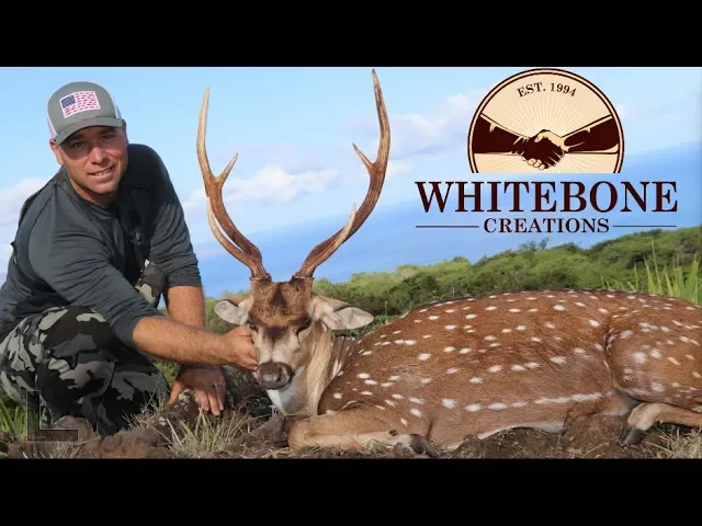 AXIS DEER HUNT CLEAN AND COOK   