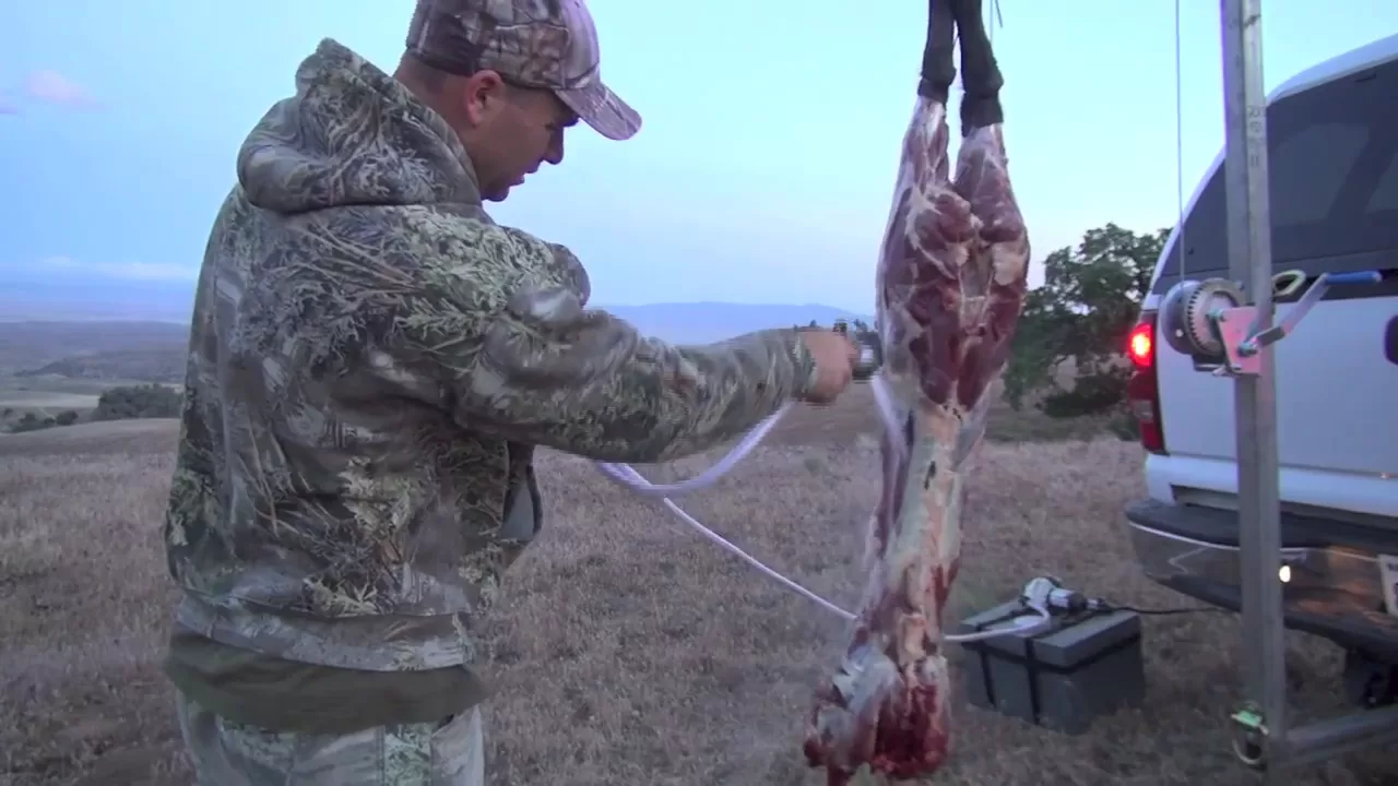 CALIFORNIA WILD PIG HUNT SOLO