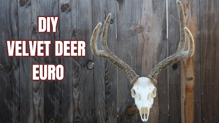 Whitebone Creations Video