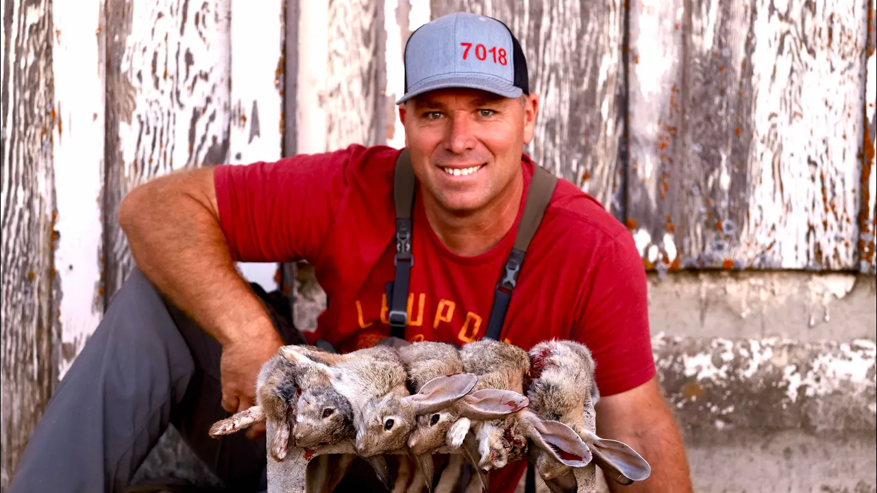 RABBIT IT’S WHATS FOR DINNER