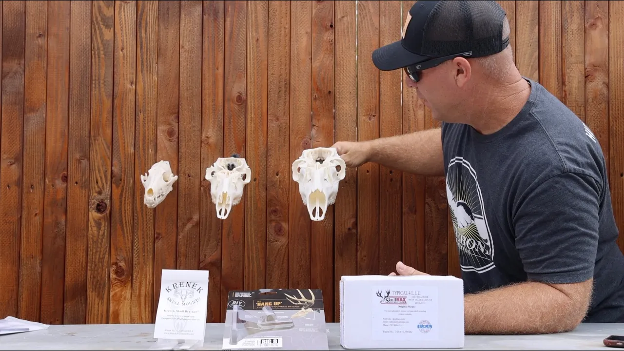 MY FAVORITE SKULL HANGER BRACKETS