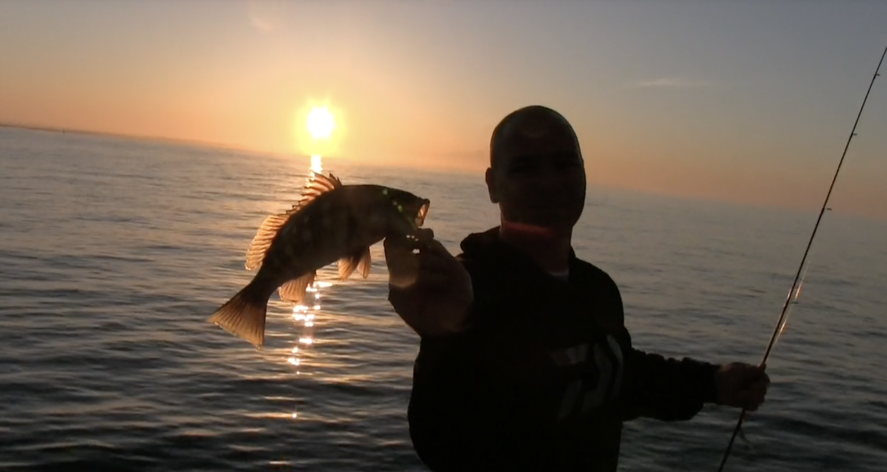 THE POND BEHIND THE HOUSE