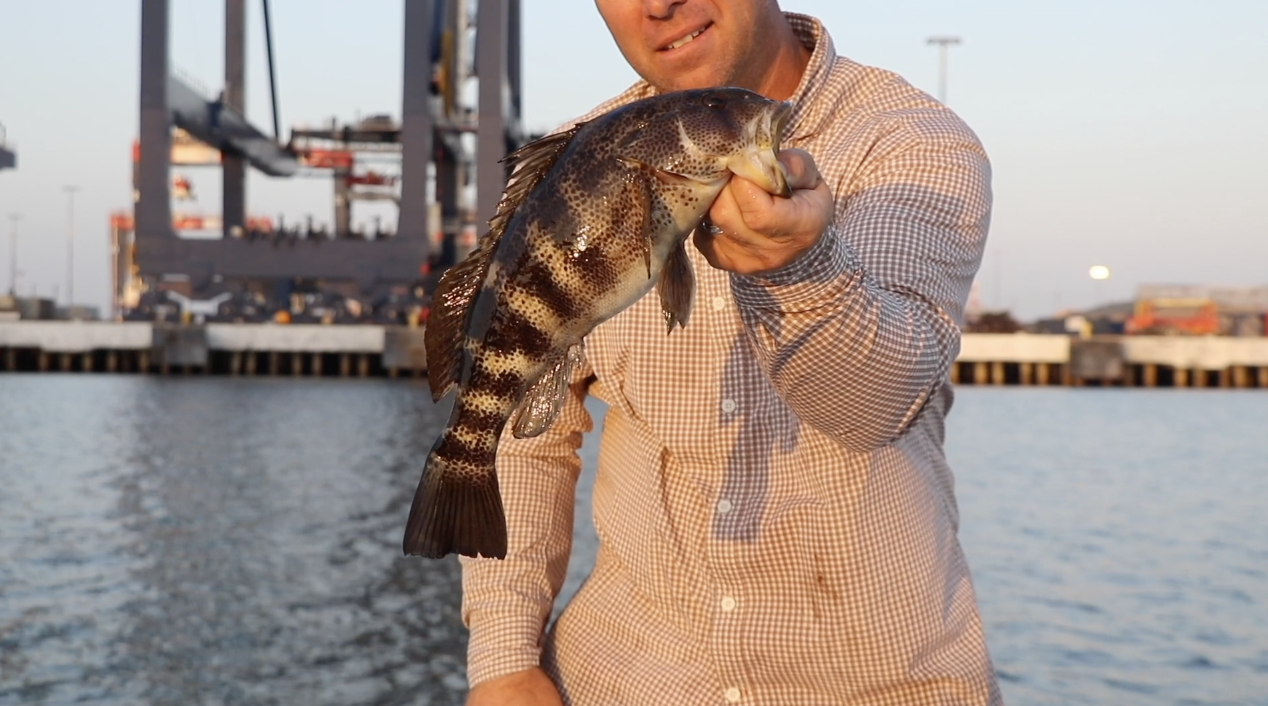 JULY 4TH FISHING "QUICK CLIP" 