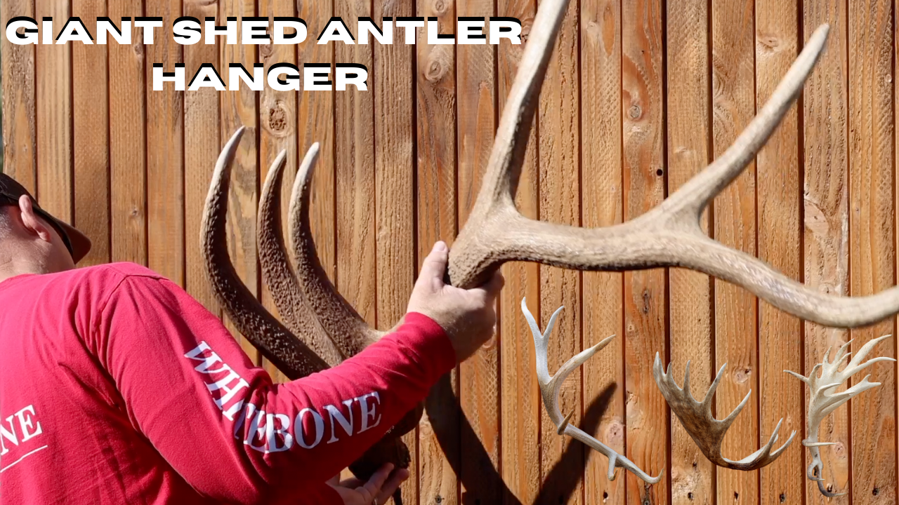 GIANT SHED ANTLER HANGER