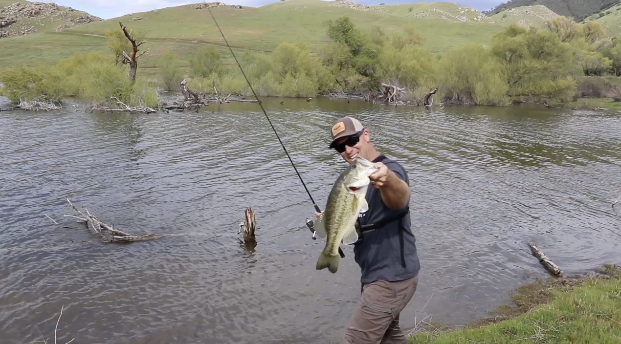 TEJON BASS "QUICK CLIP"