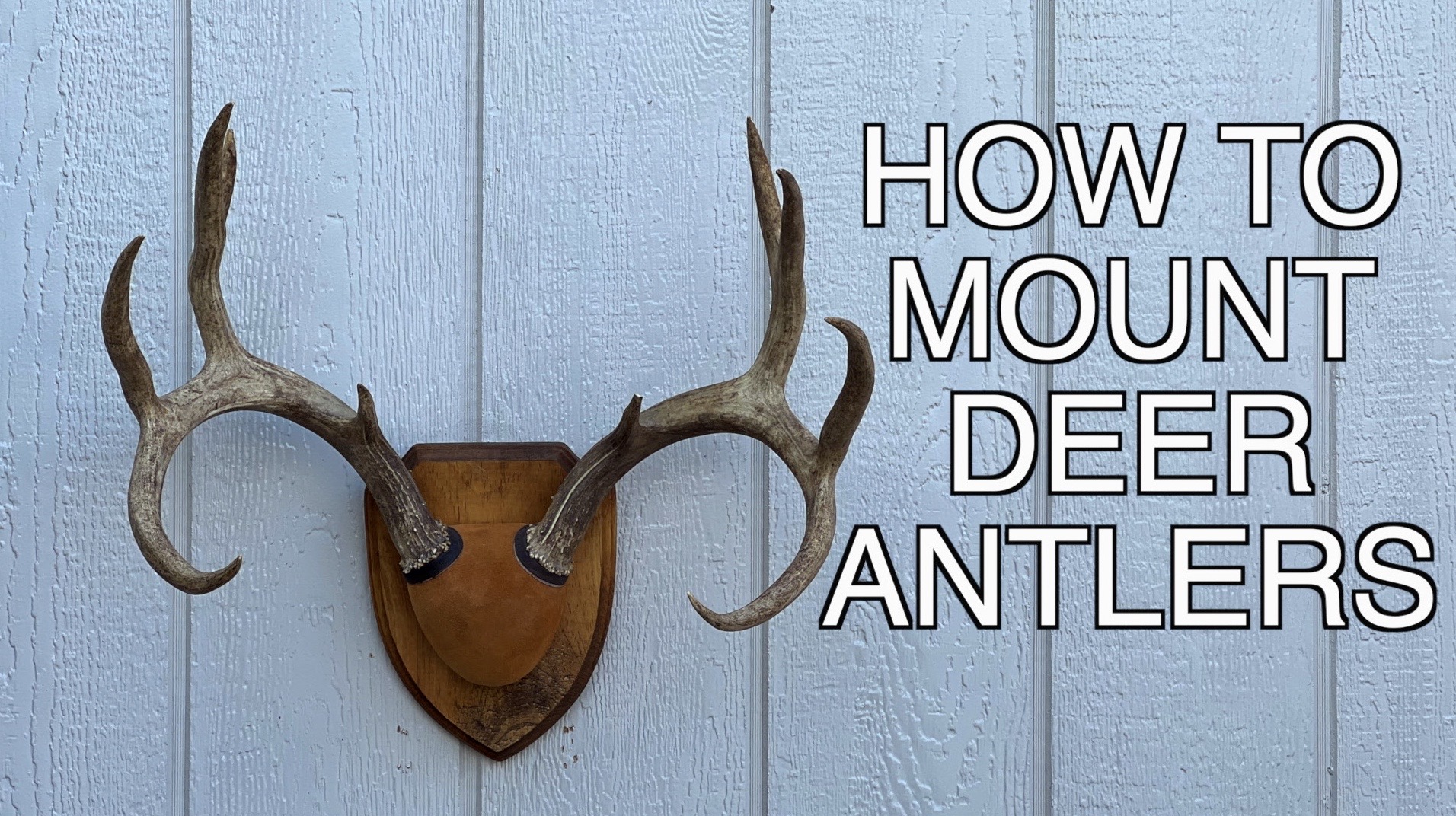 HOW TO MOUNT DEER ANTLERS  