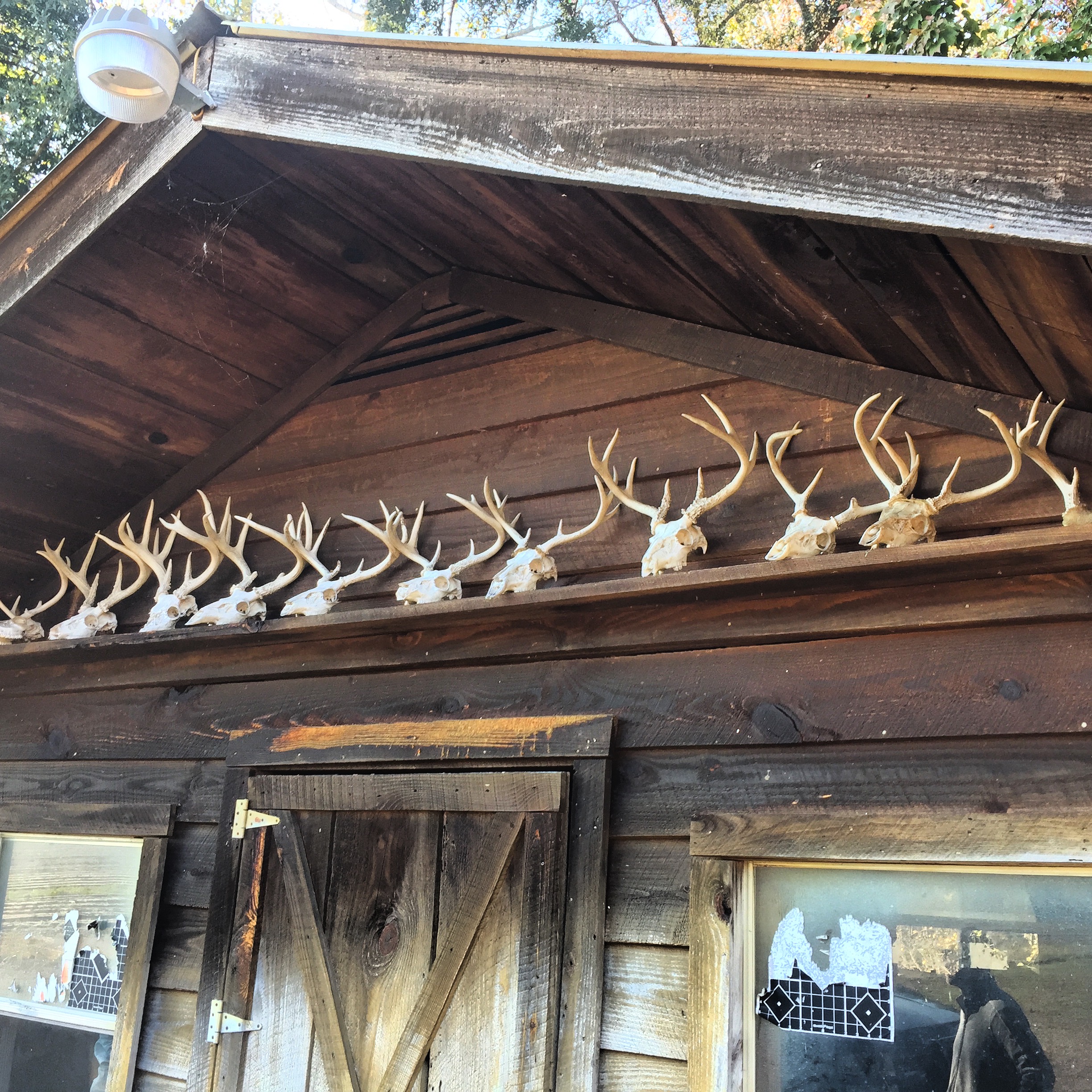 SITTING IN SOUTH CAROLINA