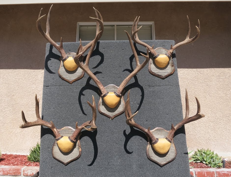 HOW TO MOUNT DEER ANTLERS ( CROWN MOUNT )