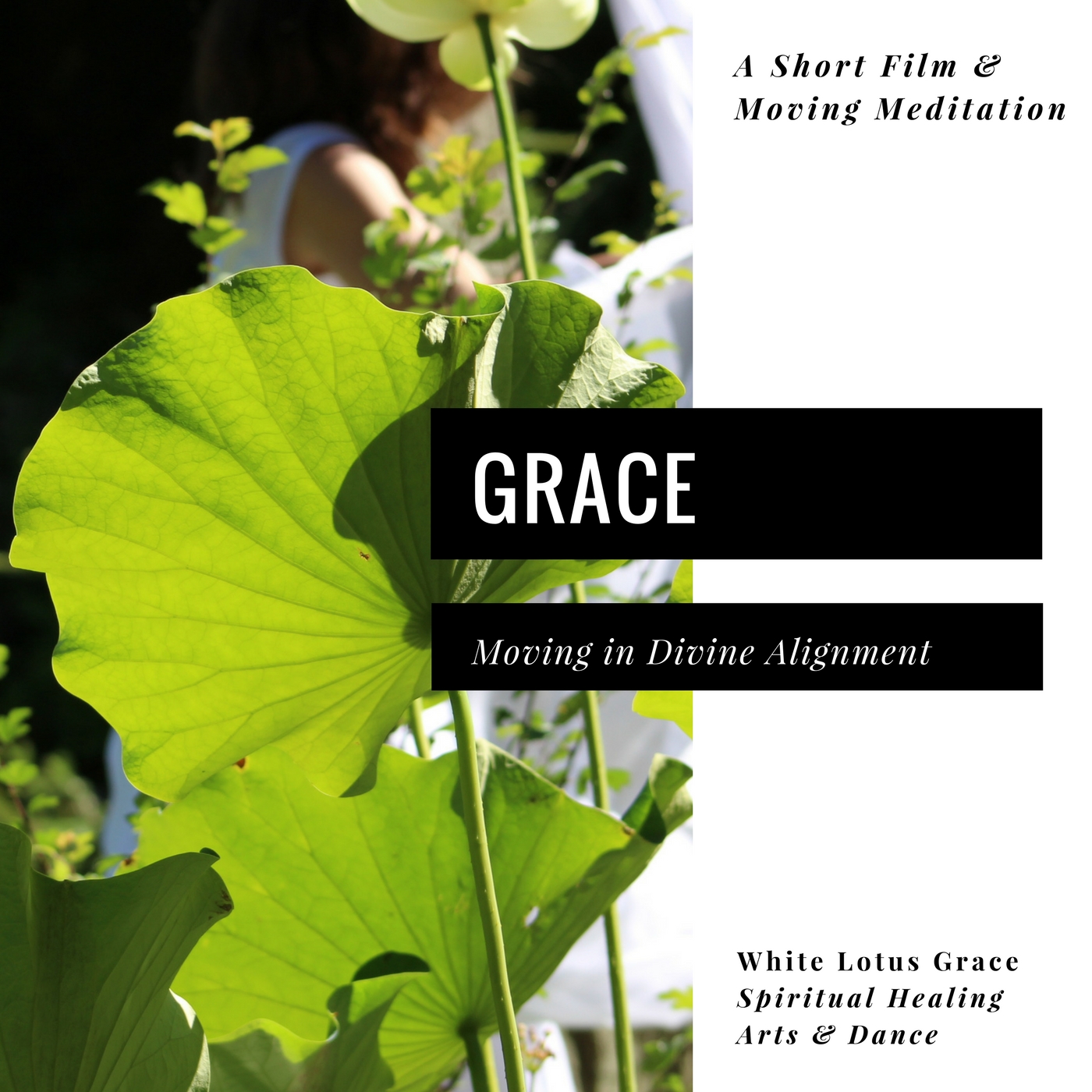 Grace, Moving in Divine Alignment