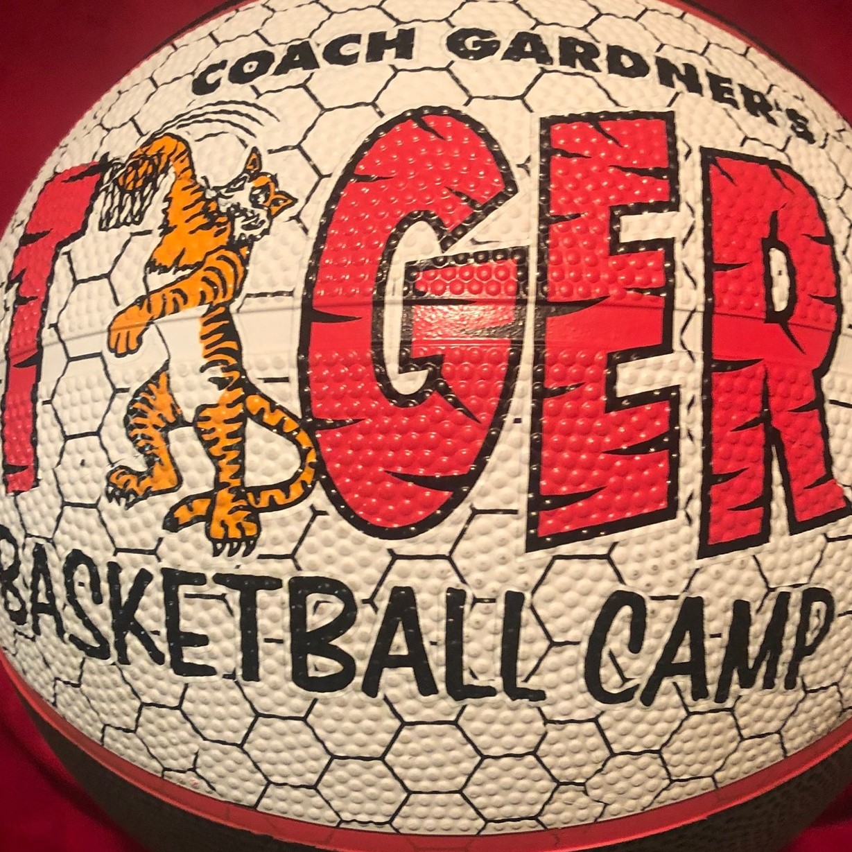 Tiger Basketball Camp 7-2-21 