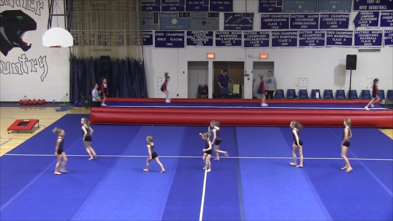 All Star Gymnastics 2014