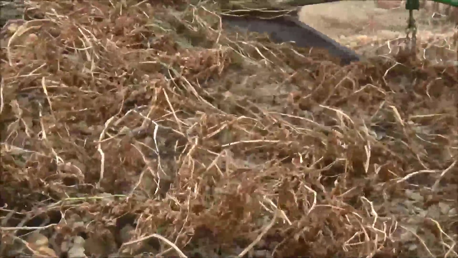 Central at Houlton - Girls - January 7, 2019