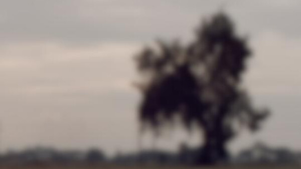 Whush Video
