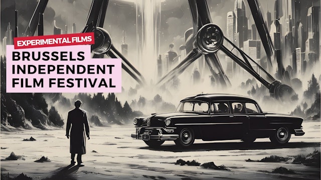 Experimental Films / Brussels Independent Film Festival
