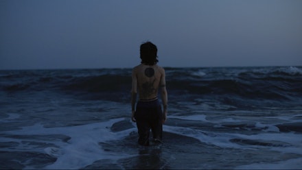 Whush Video