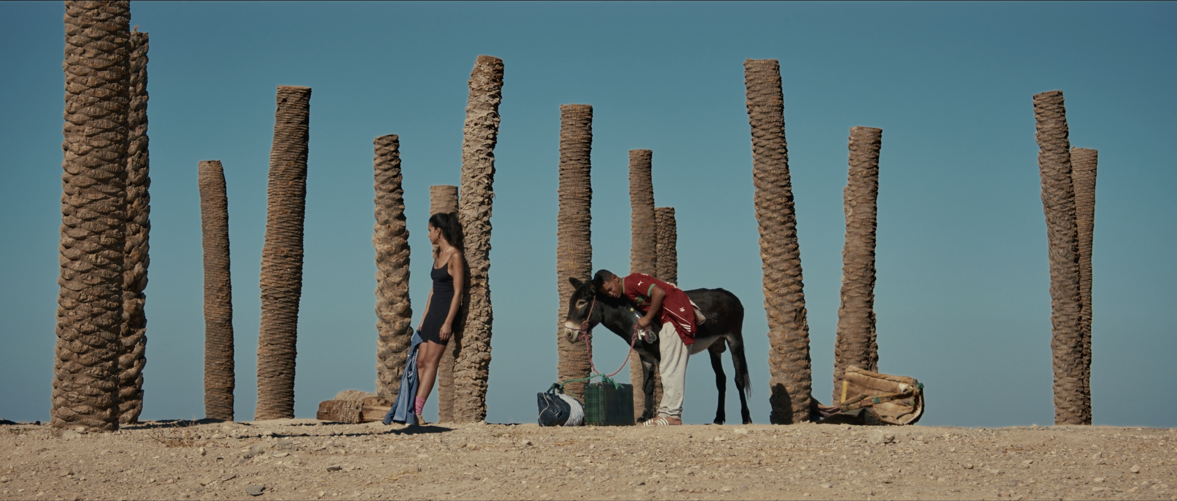 Whush Video