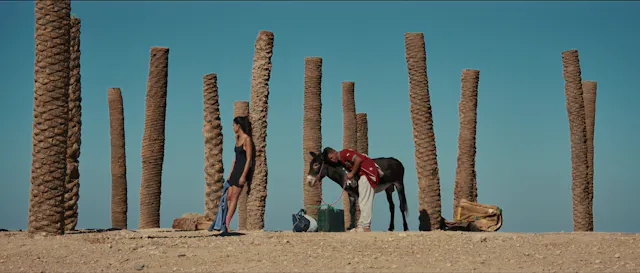 Donkey Skin (Morocco) by Taha Aziz