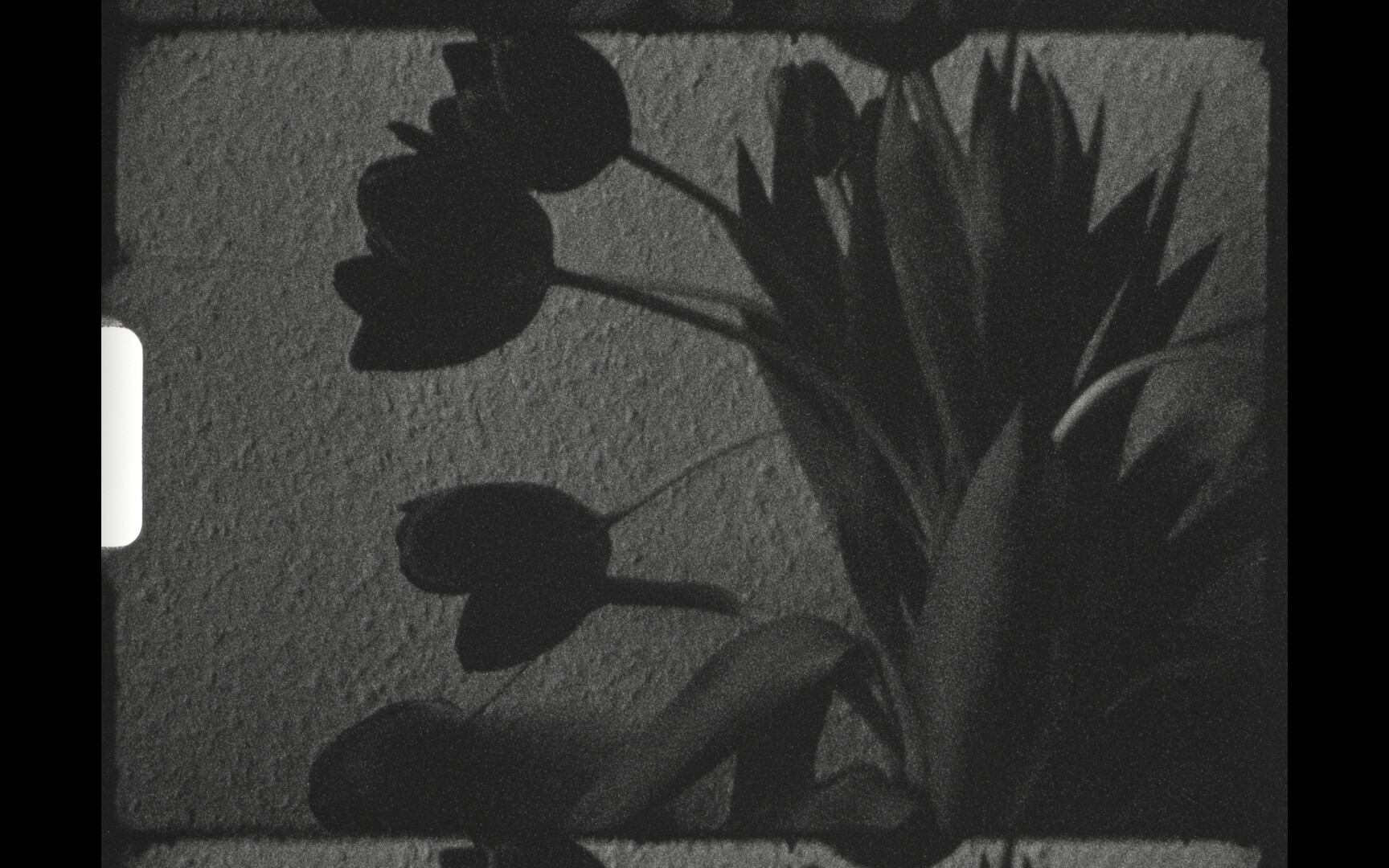 Voice Notes on Death (Germany) by Romy Persaud Drennan, Harry Crampton