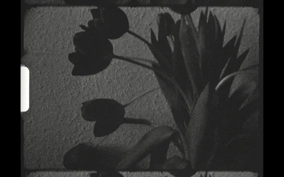 Voice Notes on Death (Germany) by Rom...