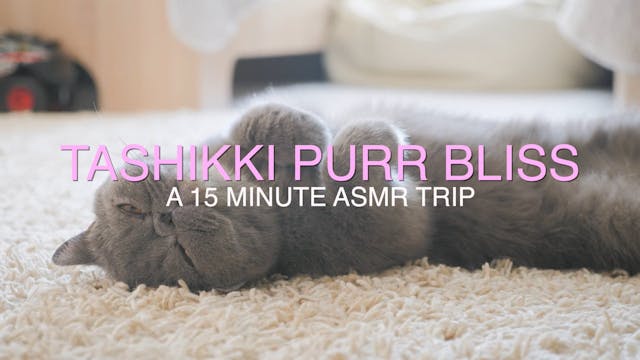 Tashikki Purr Bliss: 15-Minute ASMR M...