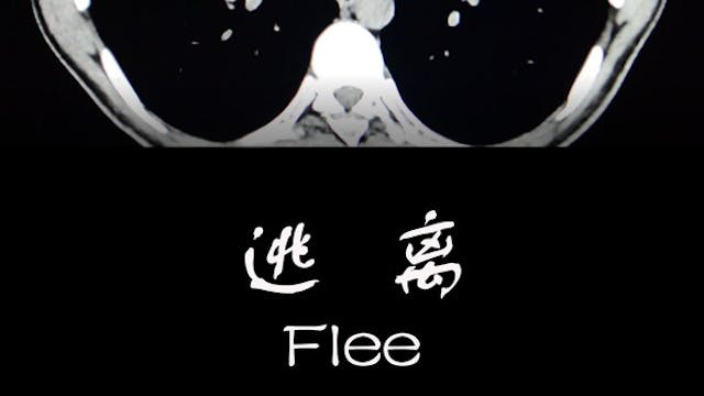 Flee (France) by Xu Kai