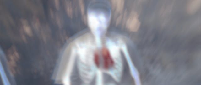 Hu Li Jing : The Fox Spirit (United S...