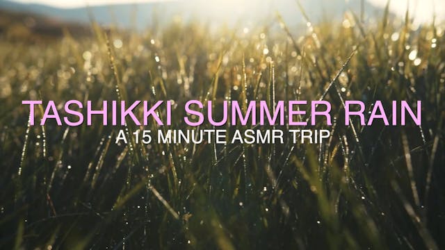 Rainy Summer Night Serenity: 15-Minut...