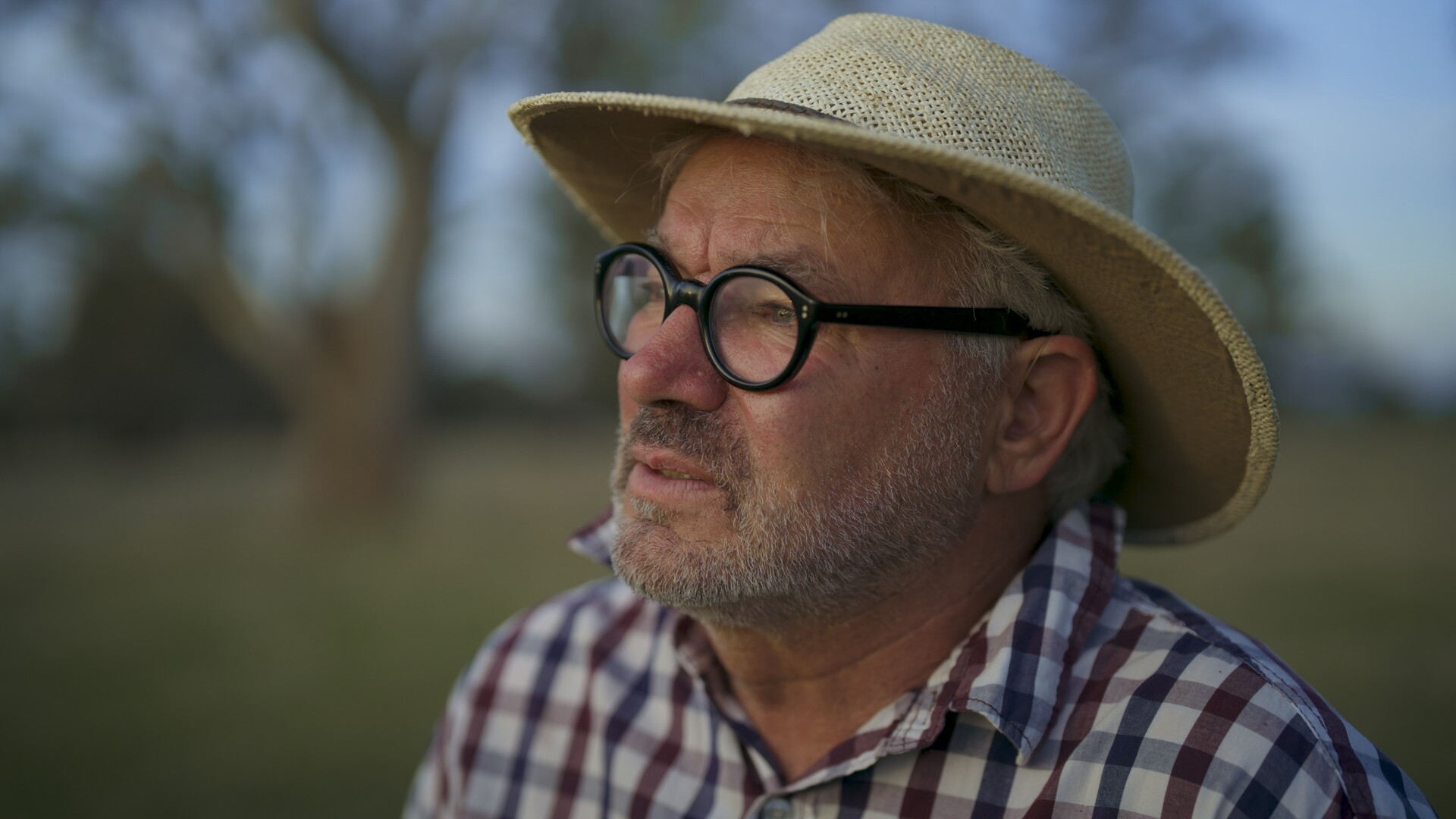 Let it Dance (Australia) by Carolyn Corkindale