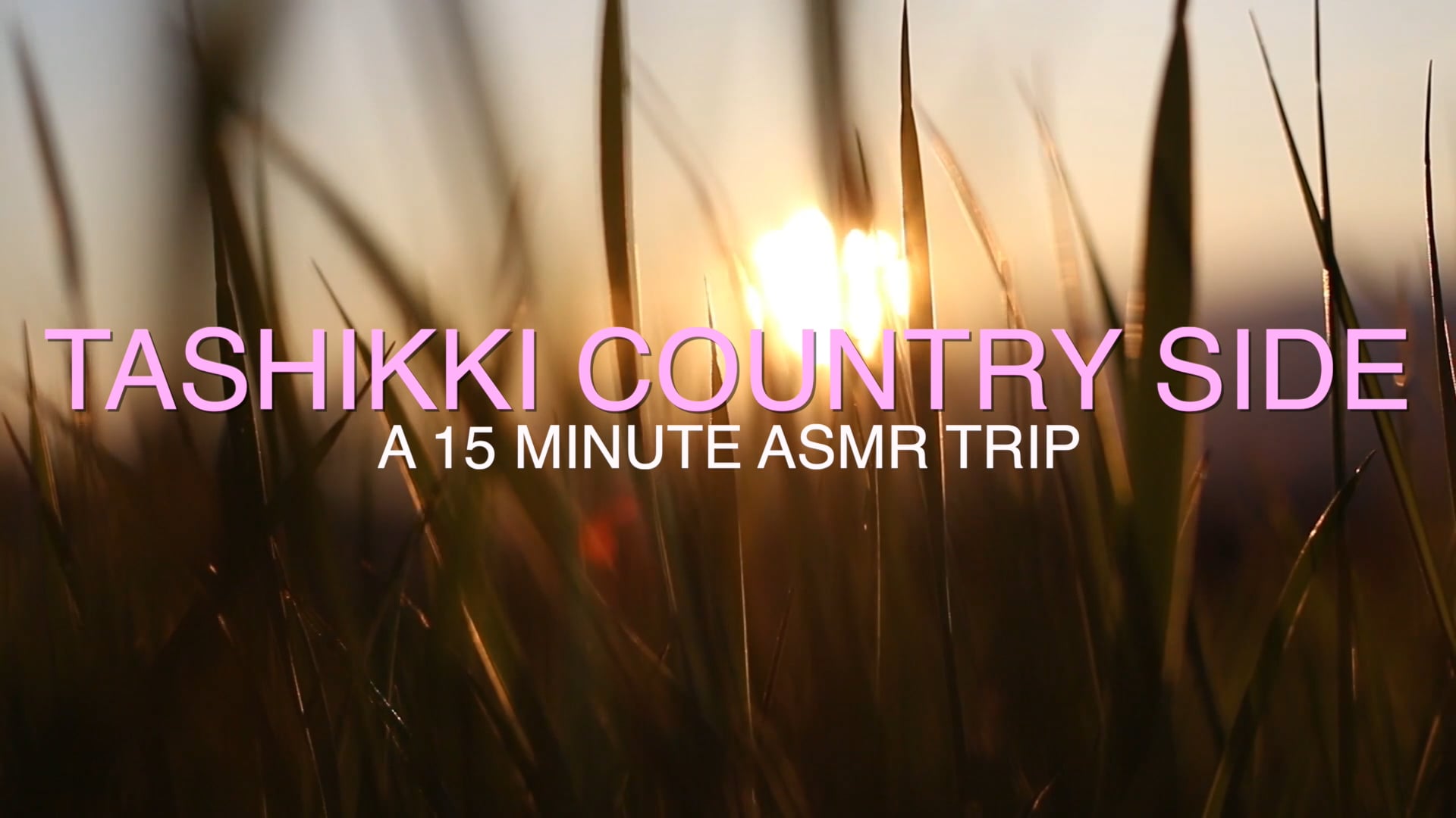 Journey into the Tashikki Countryside: 15-Minute Nighttime ASMR Meditation