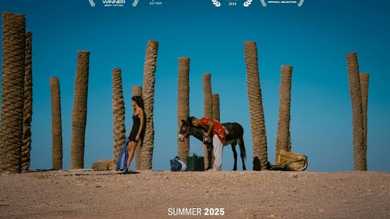 Donkey Skin (Morocco) by Taha Aziz