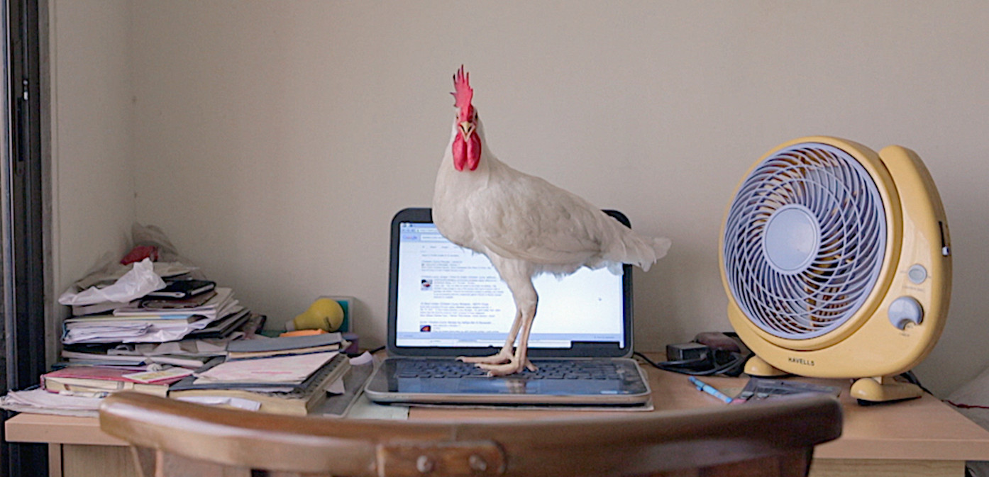 Tungrus (India) by Rishi Chandna