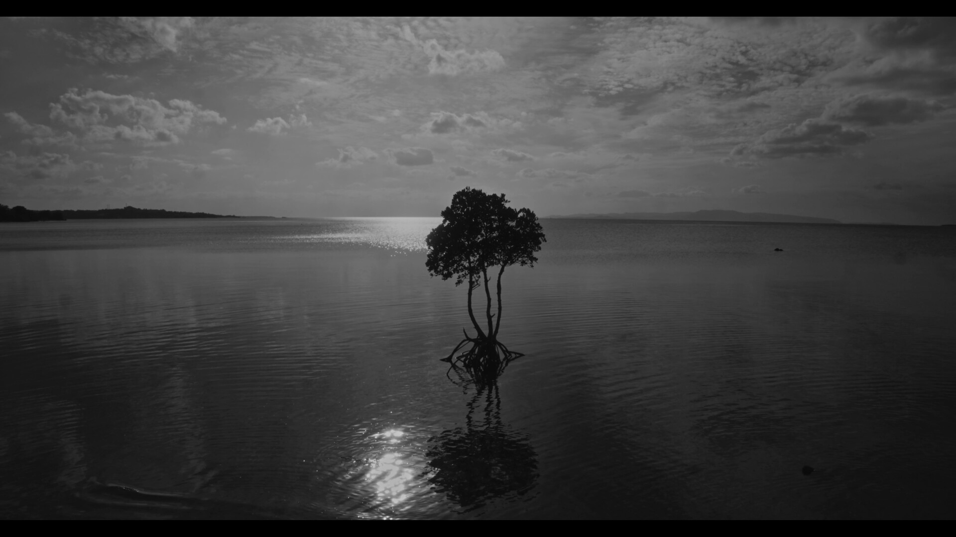 The Last Island (Sweden) by Tobias Hansson