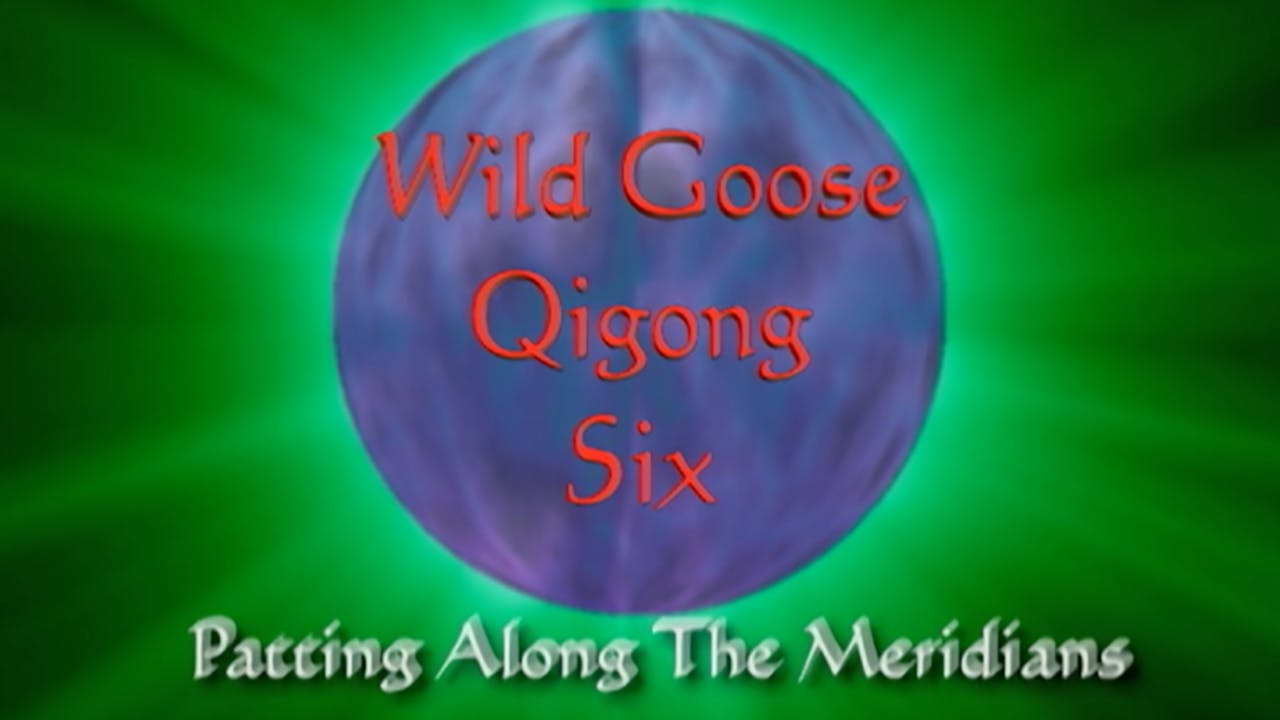 Wild Goose VI Qigong - Patting the Meridians and Baqua Practice (All Levels)